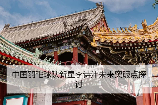 中国羽毛球队新星李诗沣未来突破点探讨